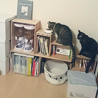 子供と猫と暮らすのインテリア実例 Roomclip ルームクリップ