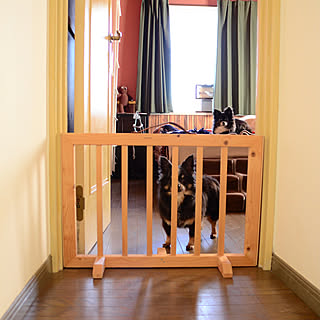 ペットゲートdiyのインテリア 手作りの実例 Roomclip ルームクリップ