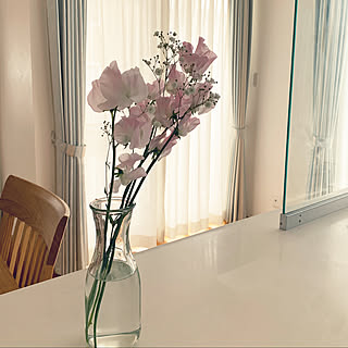 100円均一 かすみ草のまとめページ Roomclip ルームクリップ 100円均一 かすみ草のまとめページ Roomclip ルームクリップ