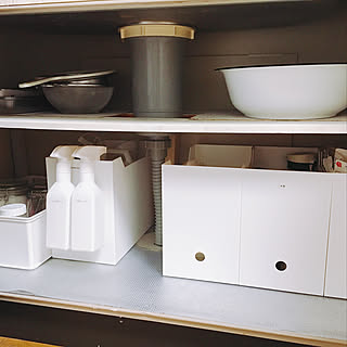 キッチン/ファイルボックス収納/ファイルボックス/シンク下収納扉外して使用してます/シンク下収納...などのインテリア実例 - 2018-07-05 22:47:14