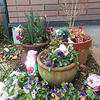 10000人の暮らし/暮らしの一コマ/休日/植物/花/いいね、フォローに感謝します✨...などのインテリア実例 - 2018-03-17 11:45:40