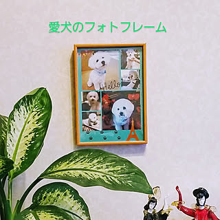 カメラのキタムラのインテリア実例 Roomclip ルームクリップ