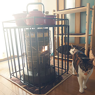 里山エンジンストーブガードのインテリア実例 Roomclip ルームクリップ