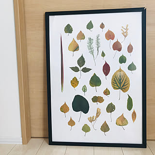 額縁 葉っぱのおしゃれなアレンジ 飾り方のインテリア実例 Roomclip ルームクリップ