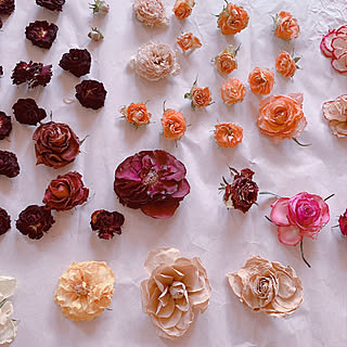 ドライフラワー シリカゲルのおしゃれなアレンジ 飾り方のインテリア実例 Roomclip ルームクリップ ドライフラワー シリカゲルのおしゃれなアレンジ 飾り方のインテリア実例 Roomclip ルームクリップ