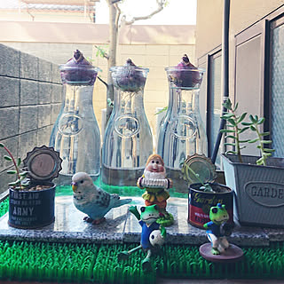 ダイソー ヒヤシンス水栽培のインテリア実例 Roomclip ルームクリップ