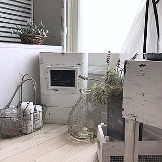 モニターさせてもらった商品/インコ周りの汚れ掃除♪/ベッド周りではありません/出しっ放しに出来るからサボらずできる♪/インテリアに合う掃除道具...などのインテリア実例 - 2019-10-22 11:41:08