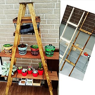 棚/DIY/日替わり投稿企画!水曜日/観葉植物/植物...などのインテリア実例 - 2017-06-01 08:14:42
