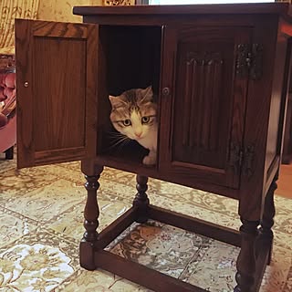 棚/オールドチャーム社/イギリス家具/キャビネット/猫...などのインテリア実例 - 2016-02-27 17:39:25