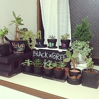 多肉植物 室内のインテリア実例 Roomclip ルームクリップ 多肉植物 室内のインテリア実例 Roomclip ルームクリップ