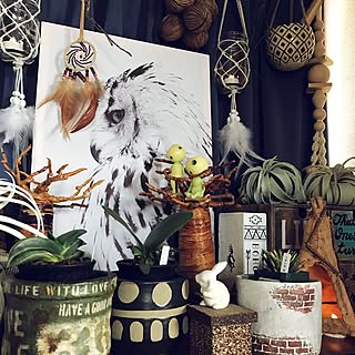 マユハケオモトのインテリア実例 Roomclip ルームクリップ