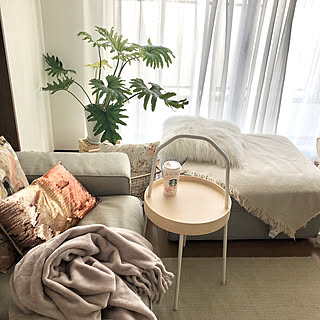 観葉植物/IKEA/ZARAHOME/見て頂きありがとうございます⑅︎◡̈︎*/Francfranc...などのインテリア実例 - 2020-02-24 16:44:51