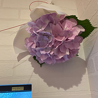 紫陽花のおまじないのインテリア実例 Roomclip ルームクリップ