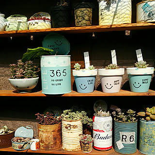 リメ鉢 ナチュラルミルクペイントのインテリア実例 Roomclip ルームクリップ