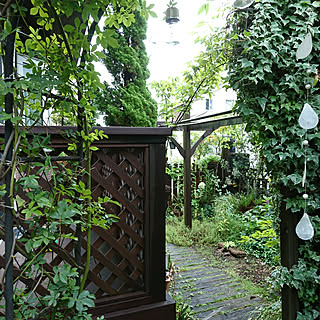 玄関/入り口/2018.8.8☔/庭/小さい庭/ガーデン...などのインテリア実例 - 2018-08-08 07:53:04