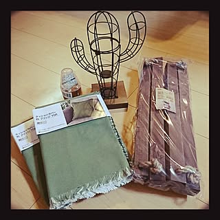 玄関/入り口/かめらまーく消し/ニトリ/プランターラック/プチライトホルダーサボテン...などのインテリア実例 - 2017-05-26 20:22:44