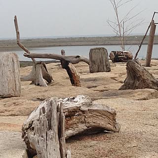 流木アート のインテリア実例 Roomclip ルームクリップ