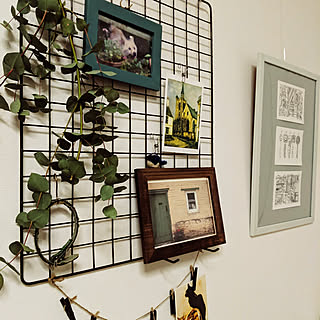 壁/天井/ふるいものが好き/ピクチャーレール/犬が好き/猫が好き...などのインテリア実例 - 2020-01-24 00:00:35