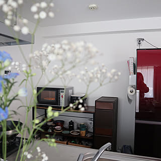 切花 植物のある暮らしのインテリア実例 Roomclip ルームクリップ