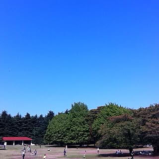 部屋全体/寒暖の差で体調崩さないでね。/食欲の秋祭り開催中♡/いつもいいねやコメありがとうございます♡/初のプレ企画...などのインテリア実例 - 2014-10-18 14:15:04