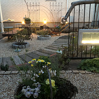 寄せ植え シンボルツリーのインテリア実例 Roomclip ルームクリップ 寄せ植え シンボルツリーのインテリア実例 Roomclip ルームクリップ