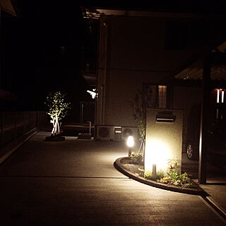 照明 植栽ライトアップのインテリア実例 Roomclip ルームクリップ