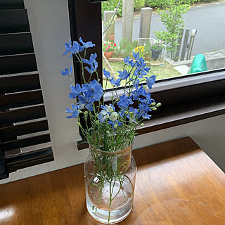 大きな花瓶のインテリア実例 Roomclip ルームクリップ