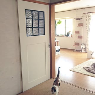 猫 ふすまリメイクのインテリア実例 Roomclip ルームクリップ