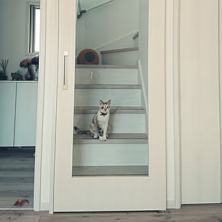 リビング階段 寒さ対策のインテリア実例 Roomclip ルームクリップ