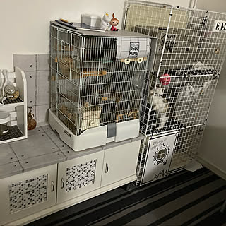 ダイソー デグーのまとめページ Roomclip ルームクリップ ダイソー デグーのまとめページ Roomclip ルームクリップ