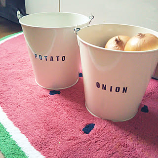 100均 根菜ストッカーのインテリア実例 Roomclip ルームクリップ