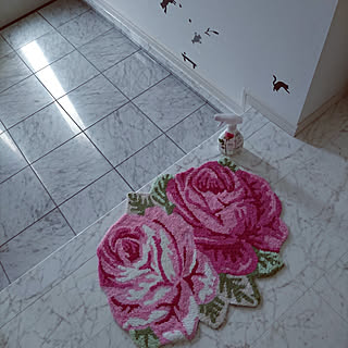 玄関/入り口/ボタニカル/植物のある暮らし/花王・モニター/素敵な1日をお過ごしください♥のインテリア実例 - 2019-03-19 11:00:20