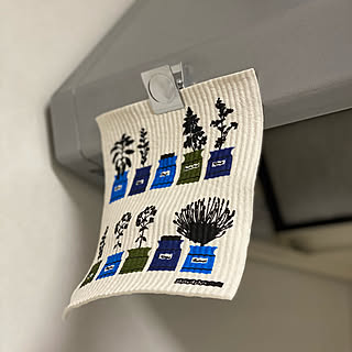 セリア Seria スポンジワイプのまとめページ Roomclip ルームクリップ