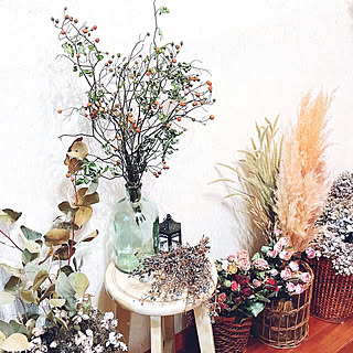 ノイバラの実ドライのインテリア実例 Roomclip ルームクリップ