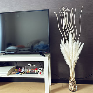ダイソー パンパスグラスドライの商品を使ったおしゃれなインテリア実例 Roomclip ルームクリップ ダイソー パンパスグラスドライの商品を使ったおしゃれなインテリア実例 Roomclip ルームクリップ