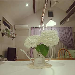 アナベル水挿しのインテリア実例 Roomclip ルームクリップ アナベル水挿しのインテリア実例 Roomclip ルームクリップ