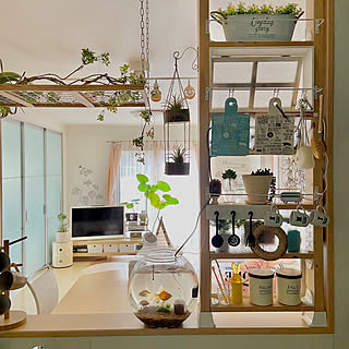 LDK/水槽/ディアウォール/キッチン/キッチンカウンター...などのインテリア実例 - 2020-01-24 10:44:21