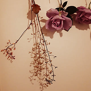 ヒューケラの花のインテリア実例 Roomclip ルームクリップ
