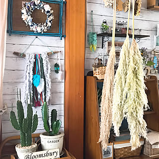 うさ耳サボテンのインテリア実例 Roomclip ルームクリップ