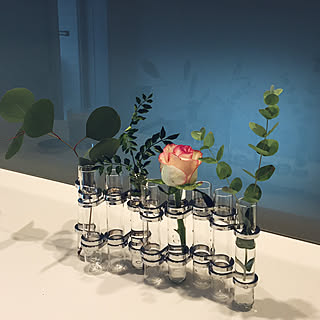 一輪挿し 試験管花瓶のインテリア実例 Roomclip ルームクリップ
