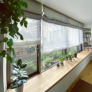 ムスカリ ムスカリ水栽培のインテリア実例 Roomclip ルームクリップ