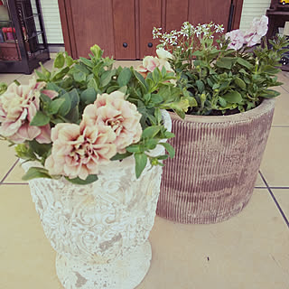 ホイップマカロンのインテリア実例 Roomclip ルームクリップ