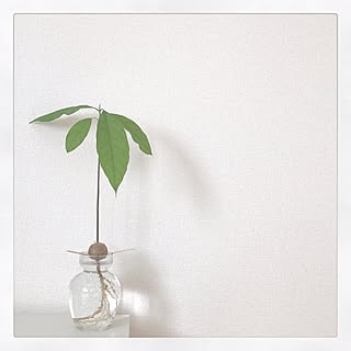 バス トイレ アボカドのインテリア実例 Roomclip ルームクリップ