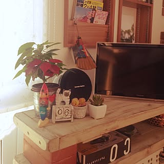 棚/手作りのミニほうき/ポインセチアがまだ元気/猫の万年カレンダー/DIYのテレビ台...などのインテリア実例 - 2017-06-06 12:03:37