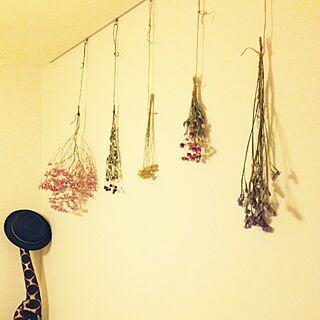 観葉植物 ピクチャーレールのインテリア実例 Roomclip ルームクリップ