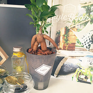 観葉植物 Tablisのインテリア実例 Roomclip ルームクリップ