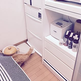 キッチン/いたずら猫との暮らし/ねこばかりすみませんm(._.)m/みなさんの素敵なインテリアに癒されてますのインテリア実例 - 2017-06-21 09:09:08