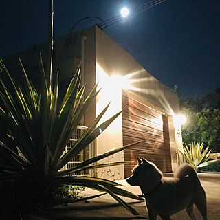 月が綺麗ですね/満月/十五夜/ガレージシャッター/柴犬...などのインテリア実例 - 2019-09-13 21:53:36