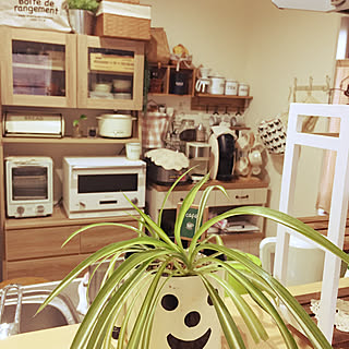 食器棚/カウンター上/オリヅルラン/ナチュラル/セリア...などのインテリア実例 - 2020-01-24 08:47:50