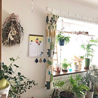 出窓周りのインテリア実例 Roomclip ルームクリップ